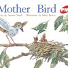 PM Plus Red Mother Bird Lvl 4