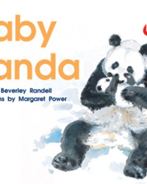 PM Plus Red Baby Panda Lvl 5