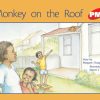 PM Plus Red Monkey on the Roof Lvl 5