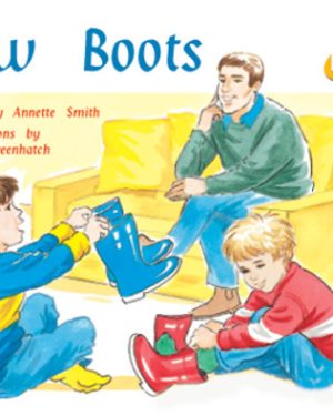 PM Plus Yellow New Boots Lvl 7