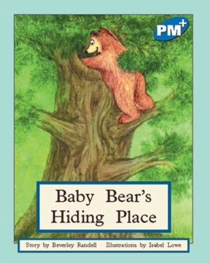 PM Plus Blue Baby Bear's Hiding Place Lvl 10