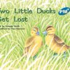PM Plus Blue Two Little Ducks Get Loose Lvl 10