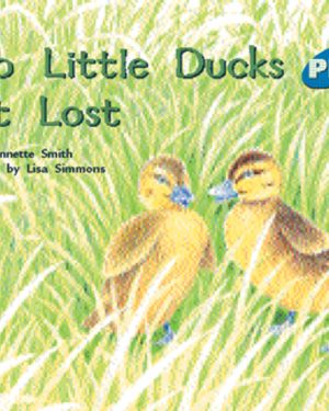 PM Plus Blue Two Little Ducks Get Loose Lvl 10