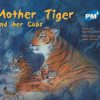 PM Plus Blue Mother Tiger and Her Cubs Lvl 11