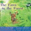PM Plus Green A Fawn in the Forest Lvl 14