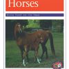 PM Library Purple Horses Lvl 19-20