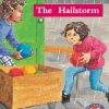 PM Library Turquoise The Hailstorm Lvl 18