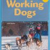 New! Pm Library Gold Working Dogs 22 (N) 6-Pack