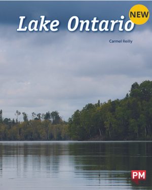 New! Pm Library Purple Lake Ontario 19 (K) 6-Pack