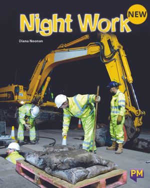 New! PM Library Purple Night Work 19 (K) (6-Pack)