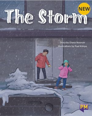 New! PM Library Purple The Storm 20 (K-L) (6-Pack)