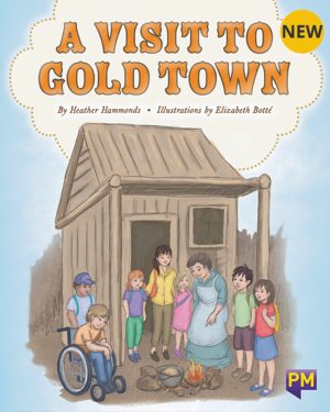 New! PM Library Purple A Visit To Gold Town 20 (K-L) (6-Pack)