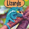 New! PM Library Purple Lizards 20 (K-L) (6-Pack)