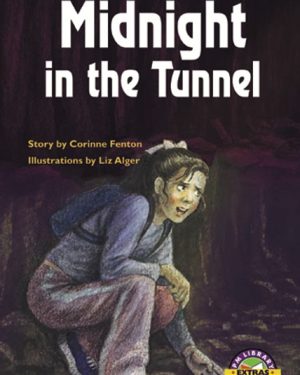 PM Library Emerald Midnight in the Tunnel Lvl 26