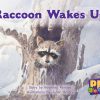 PM Gems Red Raccoon Wakes Up Lvl 3