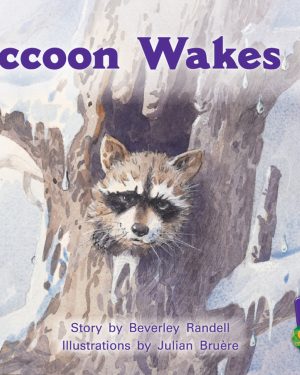 PM Gems Red Raccoon Wakes Up Lvl 3