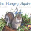 PM Gems Red The Hungry Squirrel Lvl 4
