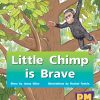 PM Gems Red Little Chimp is Brave Lvl 5