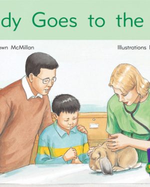 PM Gems Blue Sandy Goes to the Vet Lvl 11