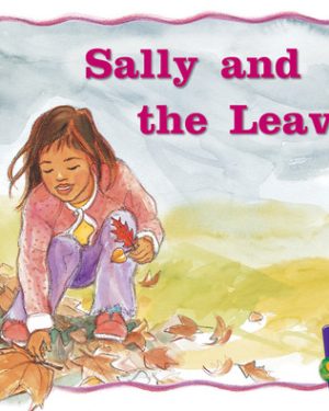 PM Gems Magenta Sally and the Leaves Lvl 2-3