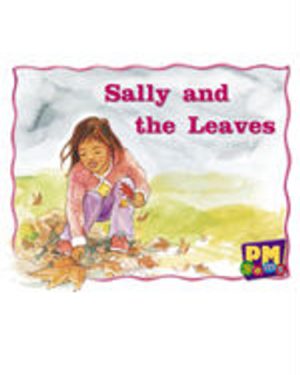 PM Gems Magenta Lvl 2-3 Single Copy Set