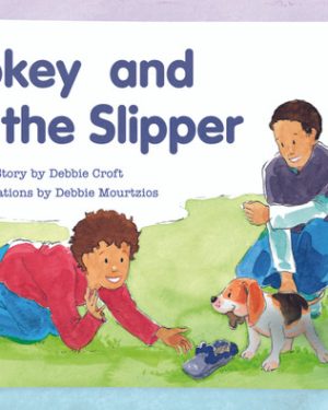 New PM Library Blue Pokey and the Slipper Lvl 10