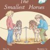 PM Plus Turquoise The Smallest Horses Lvl 17