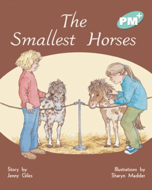 PM Plus Turquoise The Smallest Horses Lvl 17