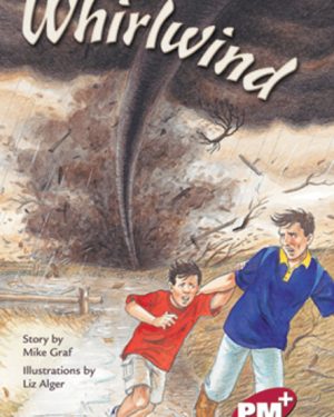 PM Plus Ruby Whirlwind Lvl 27