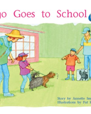 PM Plus Blue Bingo Goes to School Lvl 9: PM Plus: Blue