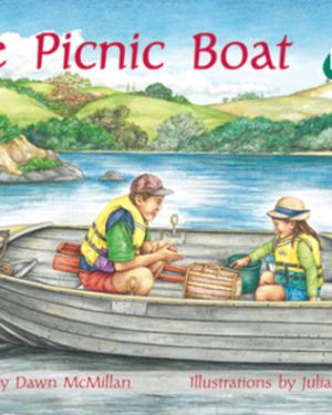 PM Plus Green The Picnic Boat Lvl 12: PM Plus: Green