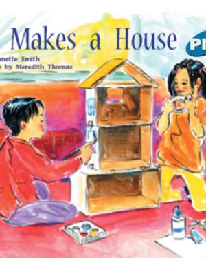 PM Plus Blue Joe Makes a House Lvl 10: PM Plus: Blue