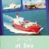 PM Plus Turquoise Ships at Sea Lvl 18-19: PM Plus: Turquoise