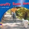 PM Photo Stories Blue Scruffy Runs Away Lvl 9-11: PM Photo Stories: Blue