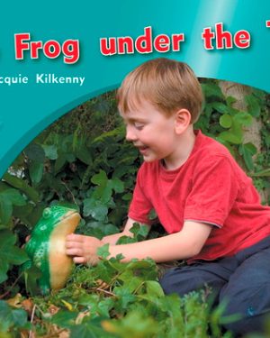 PM Photo Stories Green The Frog Under the Tree Lvl 13: PM Photo Stories: Green