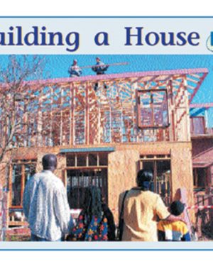 PM Plus Blue Building a House Lvl 11-12: PM Plus: Blue