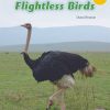 New! PM Library Turquoise Level 18 Flightless Birds 6-pack