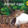 New! PM Library Magenta Level 2 Animal eggs 6-pack