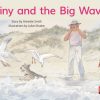 PM Library Yellow Level 8 Tiny and the Big Wave 6-pack