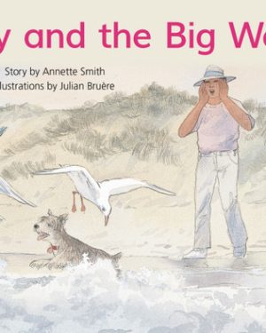 PM Library Yellow Level 8 Tiny and the Big Wave 6-pack