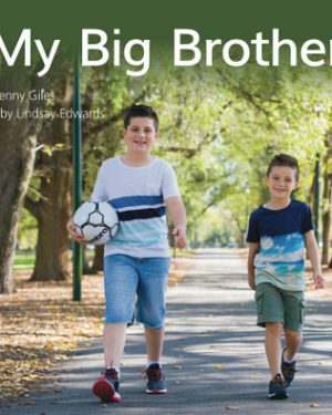 PM Library Yellow Level 8-9 My Big Brother 6-pack