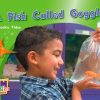 PM Photo Stories Green A Fish Called Goggles Lvl 13: PM PhotoStories: Green
