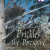 PM Plus Purple Prickles the Porcupine Lvl 19