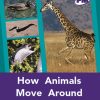 PM Plus Purple How Animals Move Around Lvl 20-21