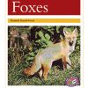 PM Library Gold Foxes Lvl 22