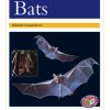 PM Library Gold Bats Lvl 22