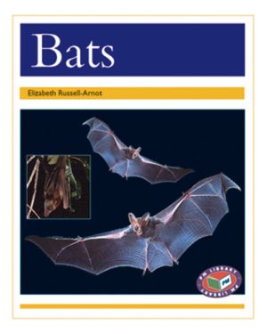 PM Library Gold Bats Lvl 22