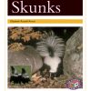 PM Library Gold Skunks Lvl 22