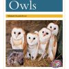 PM Library Gold Owls Lvl 22: PM Library: Gold