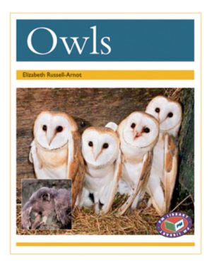 PM Library Gold Owls Lvl 22: PM Library: Gold